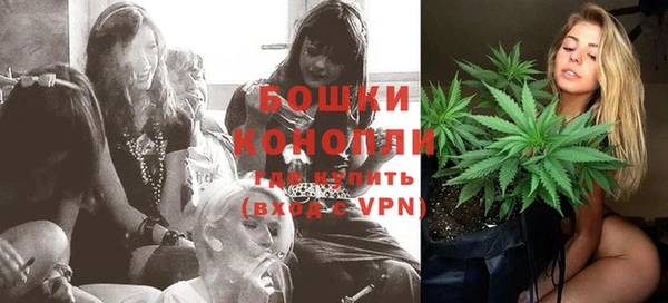 шишки Балахна