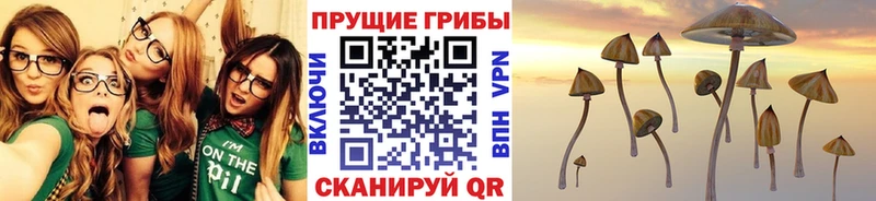 Галлюциногенные грибы GOLDEN TEACHER купить наркотик Урюпинск